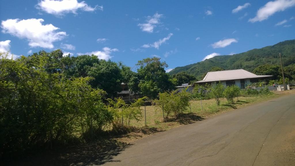 Les Bungalows Du Mont-Auban Sainte-Clotilde エクステリア 写真