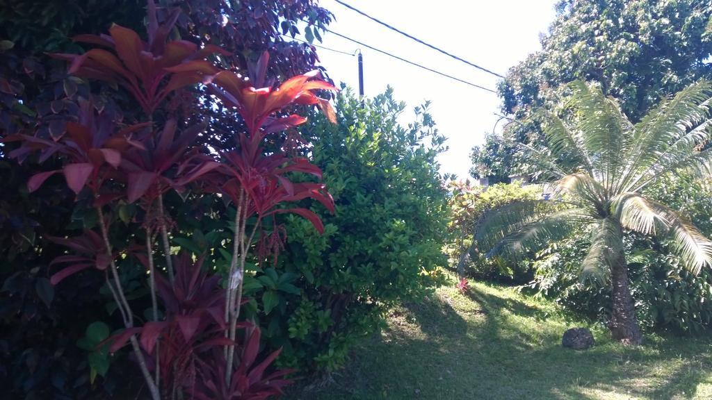 Les Bungalows Du Mont-Auban Sainte-Clotilde エクステリア 写真