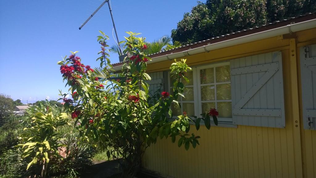 Les Bungalows Du Mont-Auban Sainte-Clotilde エクステリア 写真