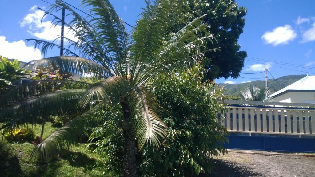 Les Bungalows Du Mont-Auban Sainte-Clotilde エクステリア 写真