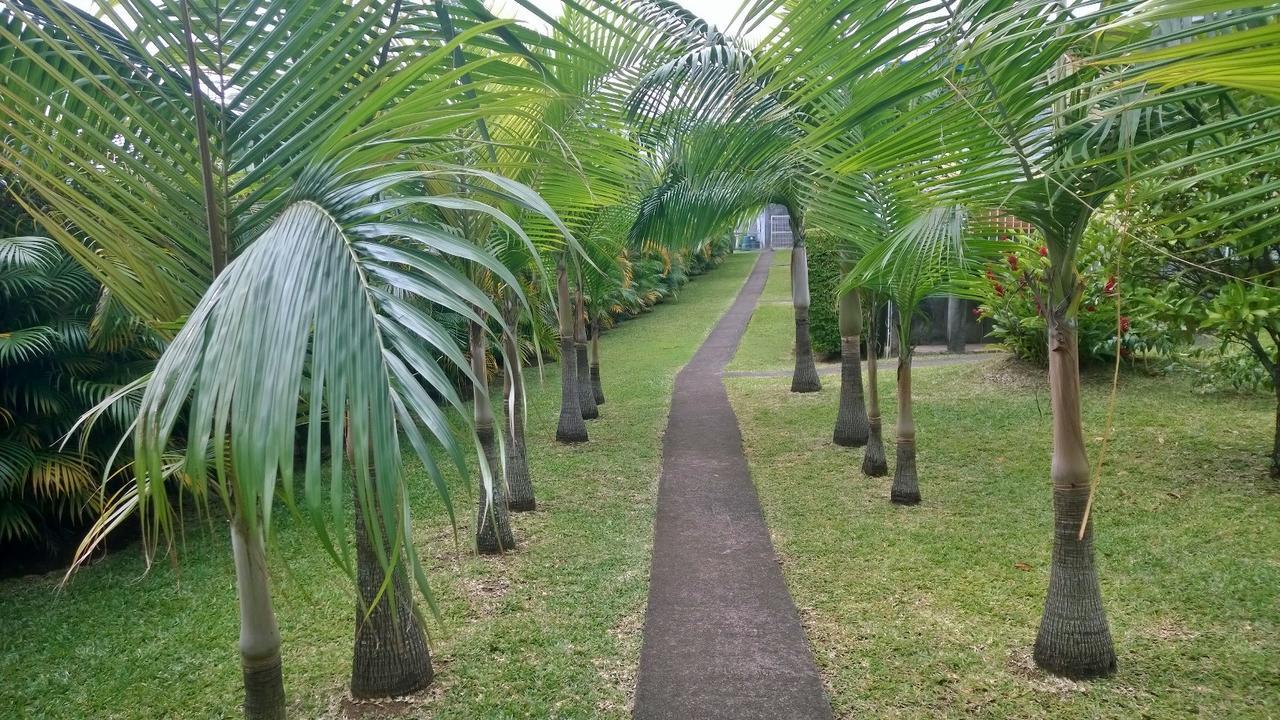 Les Bungalows Du Mont-Auban Sainte-Clotilde エクステリア 写真